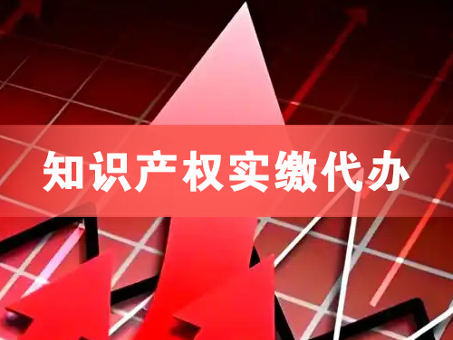 湘西知识产权实缴资本代办
